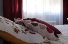 Charmante maison 6/7 personnes. - Photo 13