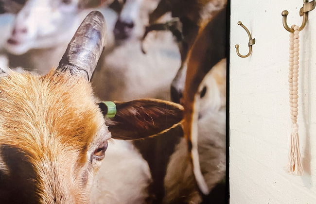 Holiday Home in Rheezerveen With Sauna & Hot Tub - Foto 18