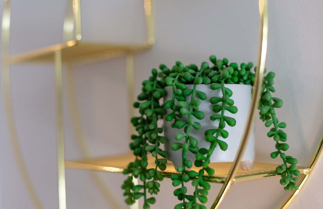 Walker Suite No82 - Donnini Apartments - Foto 24