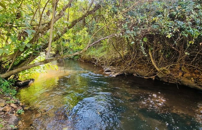 Sítio Rio Gouveia - Foto 19