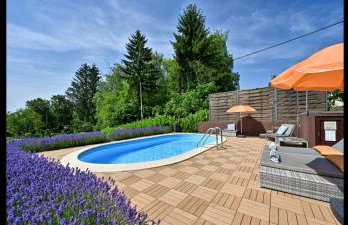 Juras Country House, bazen, sauna ,hot tube,vrt - Foto 21