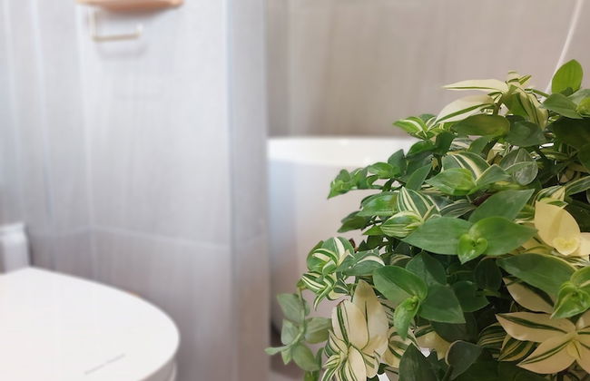 Hanok Stay Sohwa - Foto 39