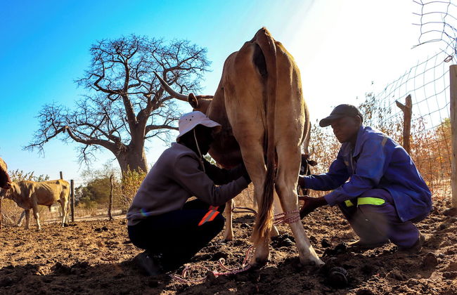 Destiny Blo Inn - Photo 14