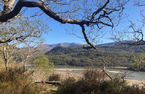 Cabin in the hills near Dolgellau - Foto 23