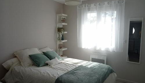 Santa Monta - Foto 4