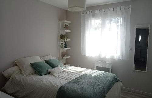 Santa Monta - Foto 4