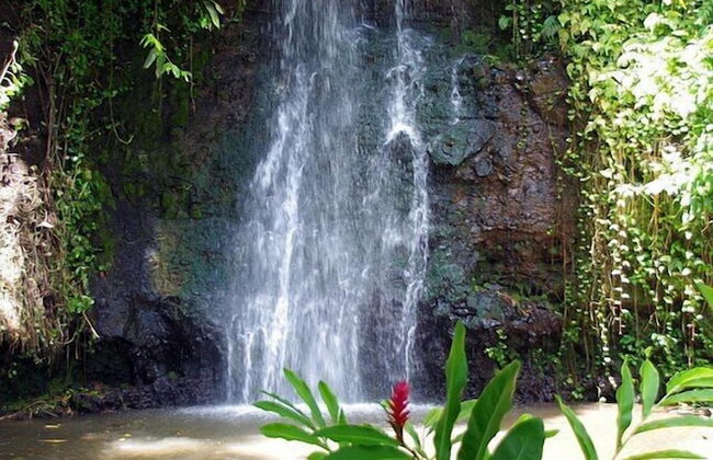 Bounty Lodge - Photo 64