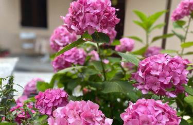 Sweet Home Kerasias - Foto 22