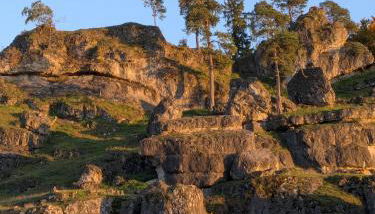 Villa Viola - Photo 2