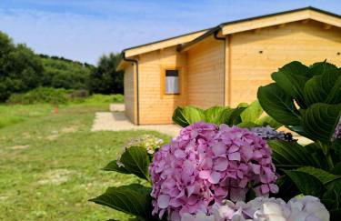 Cabaña de madera Mar y Madera, playa de las catedrales - Foto 19