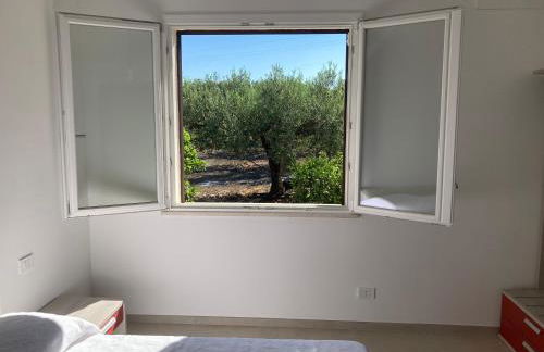 Casa Raineri - Foto 2