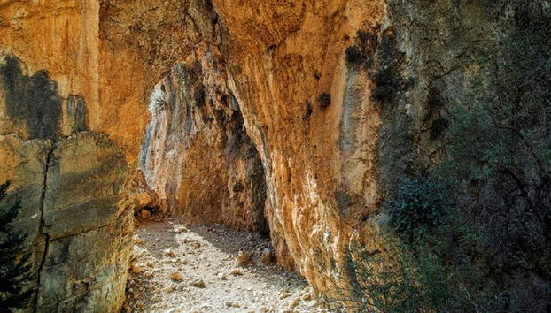 Imbros Gorge - Full-Day Tour - Photo 5