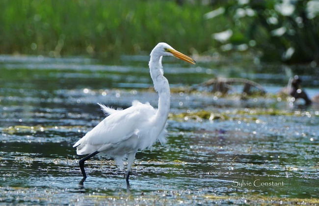 La-K-Ban espace événementiel - Photo 19