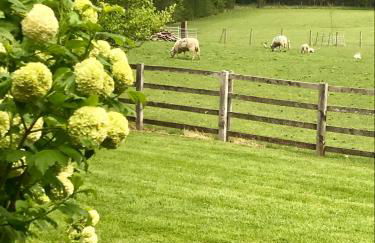 The Burrow - Foto 11