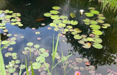 Ferienwohnung Fam.Stecher - Foto 7