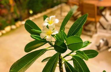 casamia mesokampos - Photo 12