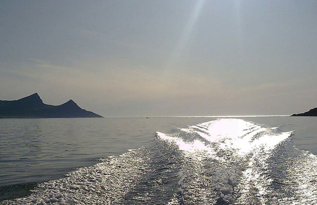 6 Person Holiday Home in Bostad-by Traum - Foto 20