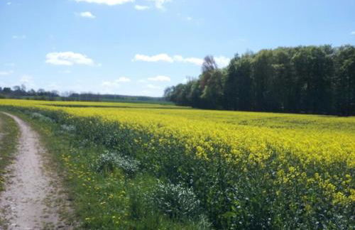 Ferienwohnung Zimmert - Photo 26