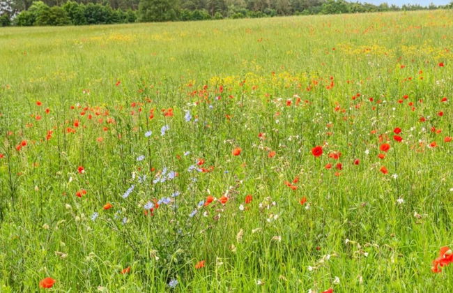 Appartement mit Fantastischer Aussicht - Foto 25