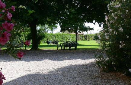 Agriturismo Tenuta Le Sorgive - Foto 23