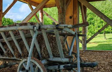 Baumhaus Heuhütte - Foto 62
