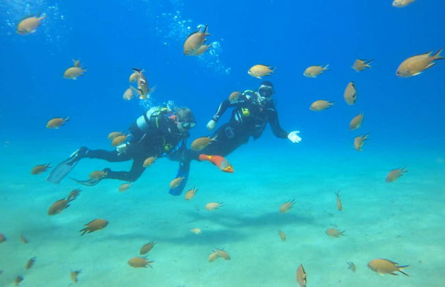 Corso PADI Discover Scuba Diving a Puerto del Carmen - Foto 9