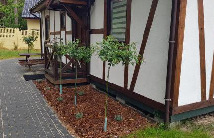 Pustkowo Domki Wakacyjne u Marka - Foto 23