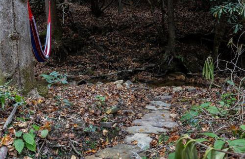 Creek side Mountain Perfect for Families ,We are just 5 to 7 minutes from the entrance of Pisgah Forest, where you ll find many rivers and waterfalls - Foto 30