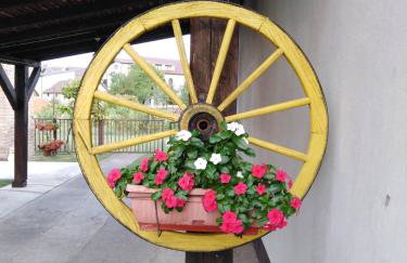 Apartmani MARIN-ŽUPANJA - Foto 58