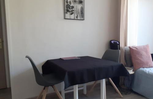 T2 Bord de mer avec jardin et piscine - Foto 16