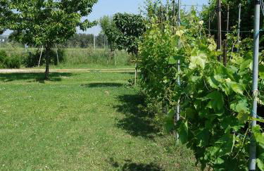 Il mulino di Augusto e Marianna - Foto 39