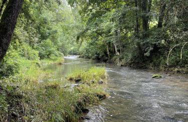 Ferienhaus Chalet an der Brettach - Foto 42