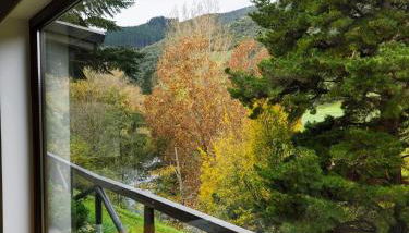 El Nial de Los Pinos - Foto 5