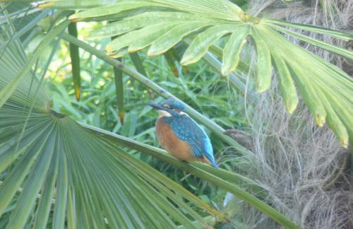 Weir Cottage - Foto 38