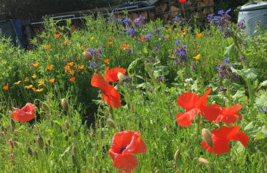 Red Watch Apartment - Foto 24