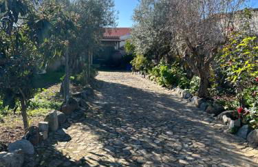 Casa dos Avós - Foto 18