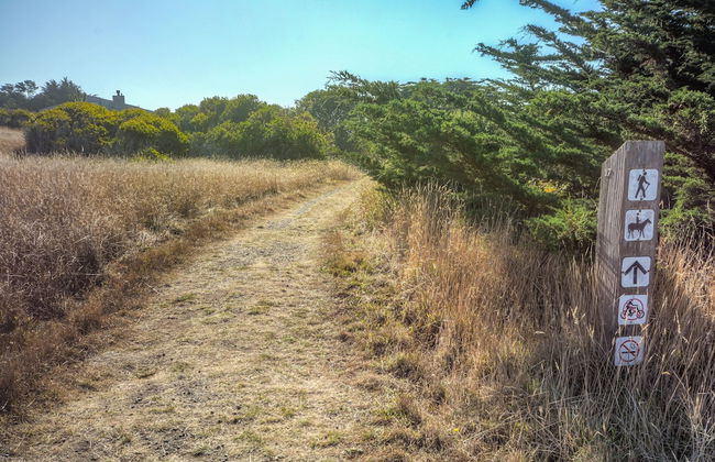 Albatross House - Foto 26