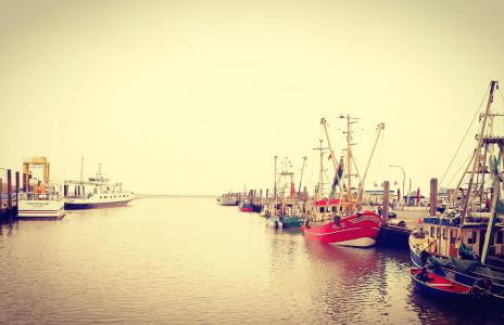 Tammwarftshof - Foto 46