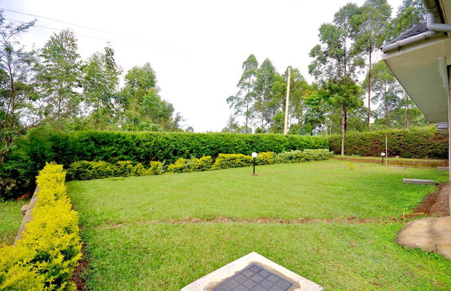 Lamanis Haven - Foto 28