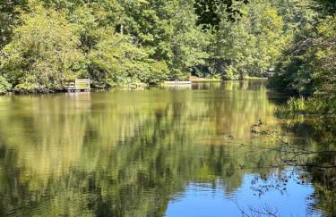 Entire cabin on Lake Sequoyah - Foto 11