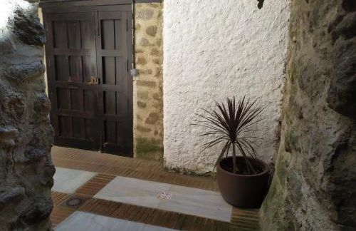 Apartamentos La Iguana - Foto 14