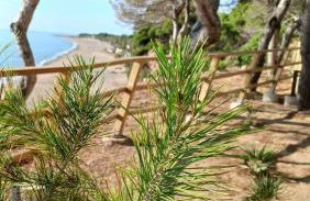 Piso California 3 aire acondicionado, wifi, cerca del mar - Foto 50