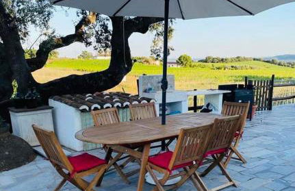 Monte do Zambujeiro - Foto 10