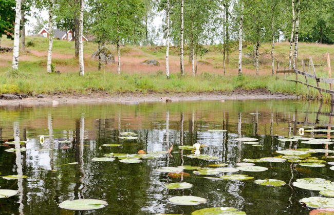 Holiday Home in Skeppshult - Foto 21