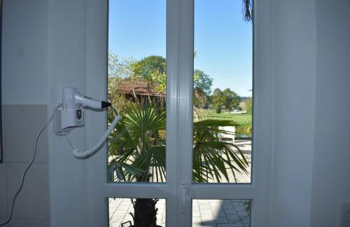 Palmengarten - Foto 29