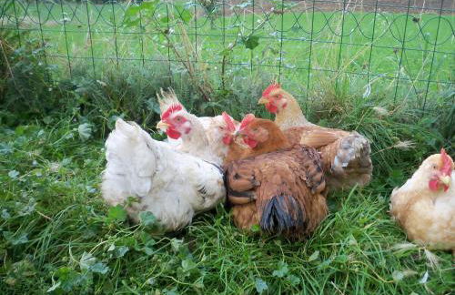 Agriturismo Casale Sant'Antonio - Foto 20