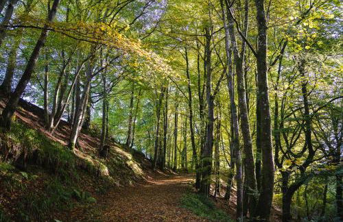 3-bedroom house for outdoor holidays - Foto 30