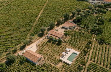 IMAGO Houses - Douro Valley - By MET - Foto 14