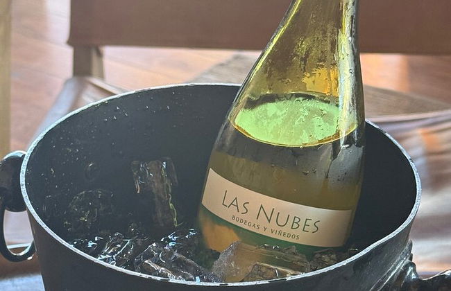 Private Deluxe Wine Tour to Valle de Guadalupe by Luxury Vehicle - Photo 42