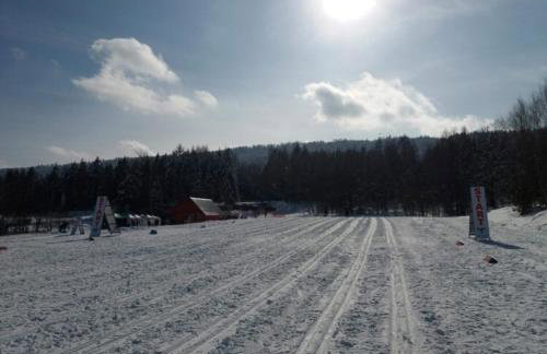 Miętowy Anioł - Foto 80